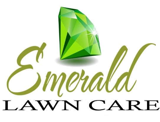 Emerald lawn clearance service